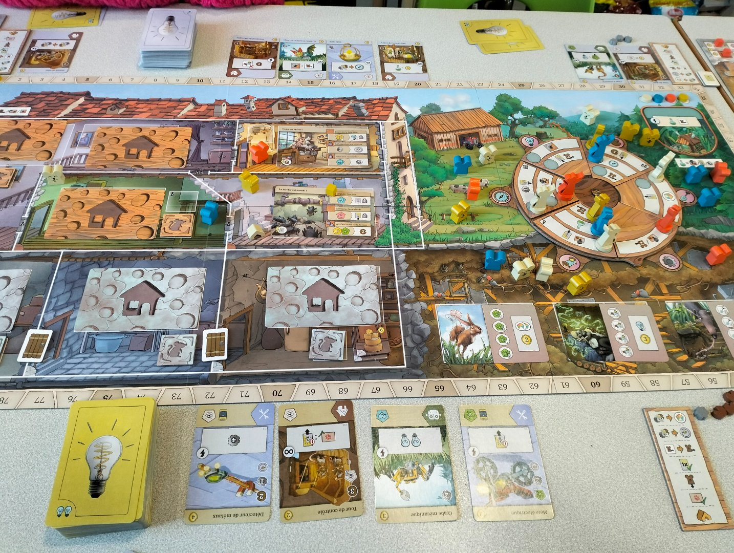 Les rats de Wistar.jpg