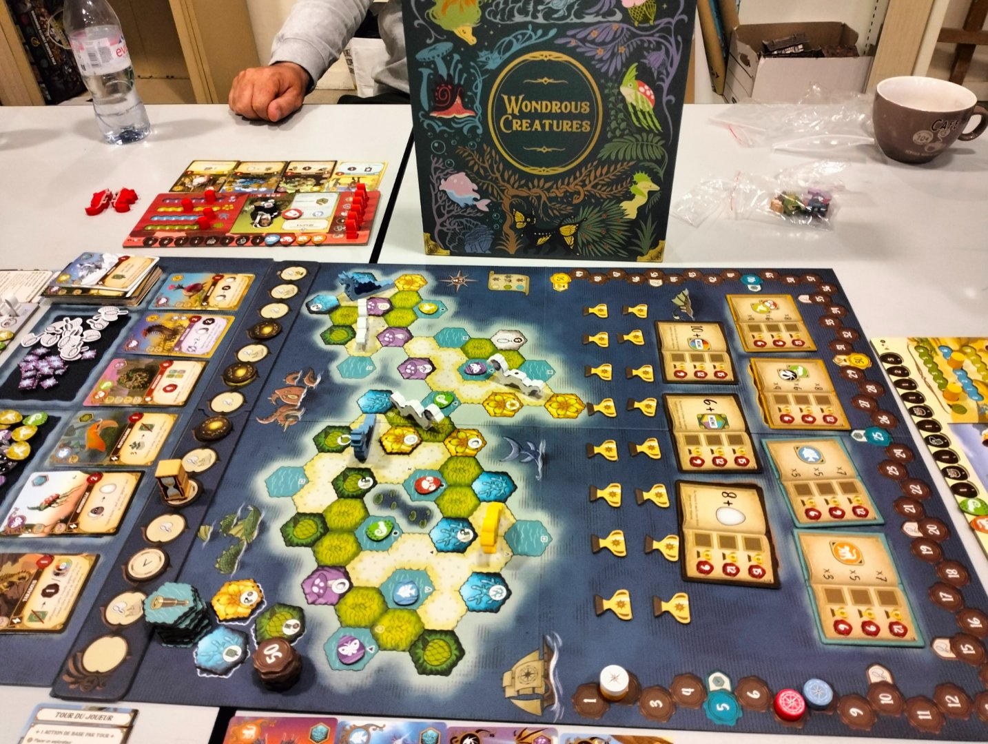 Wondrous Creatures.jpg