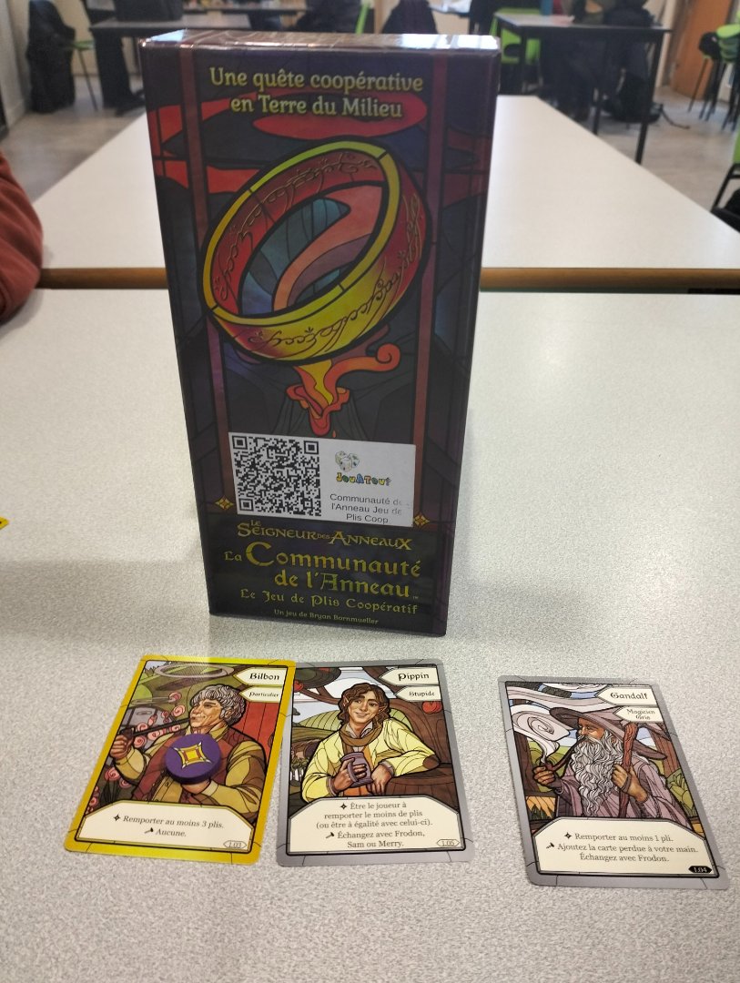 La communauté de l'anneau le jeu de pli coopératif.jpg
